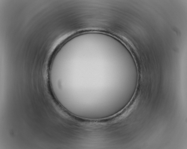 X0000113341077200909151000