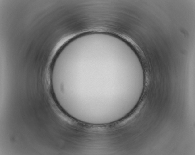 X0000113341078200909151000