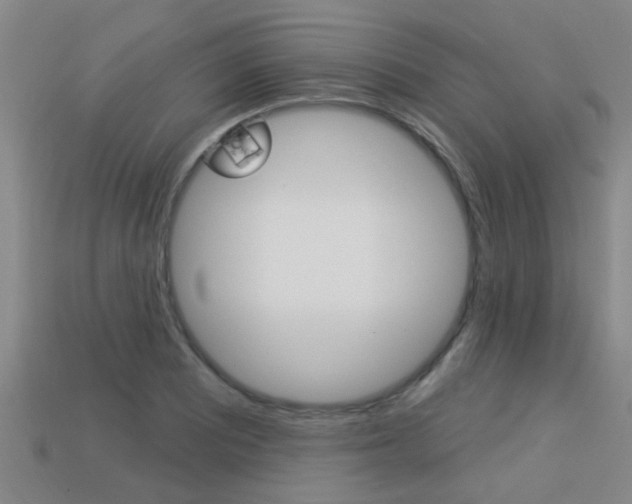 X0000113341081200909151000
