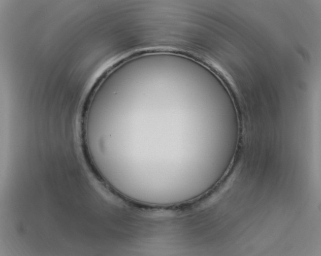 X0000113341085200909151000