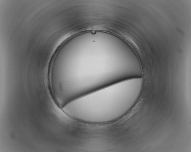 X0000113341087200909151000