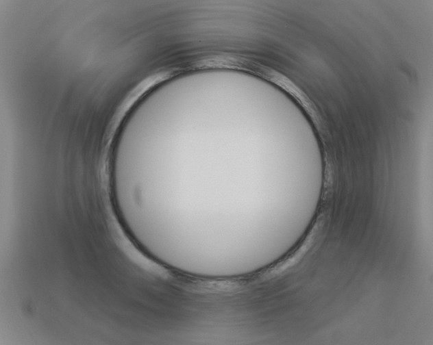 X0000113341090200909151000