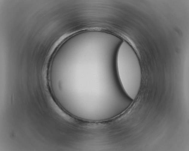 X0000113341091200909151000