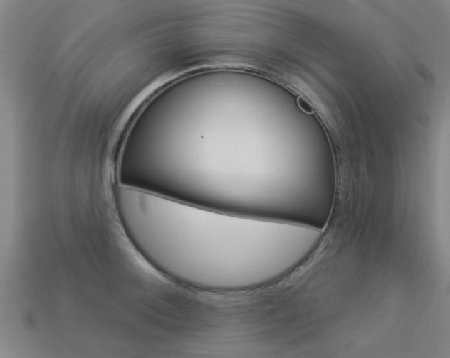 X0000113341092200909151000
