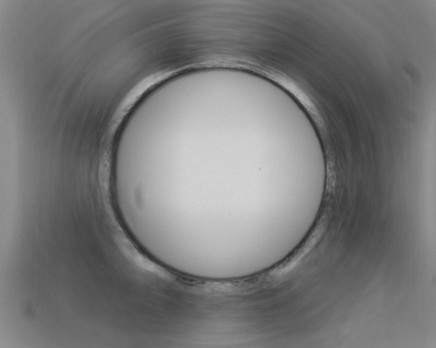 X0000113341094200909151000