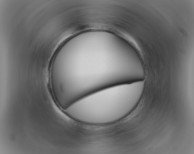 X0000113341095200909151000