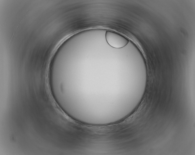 X0000113341096200909151000