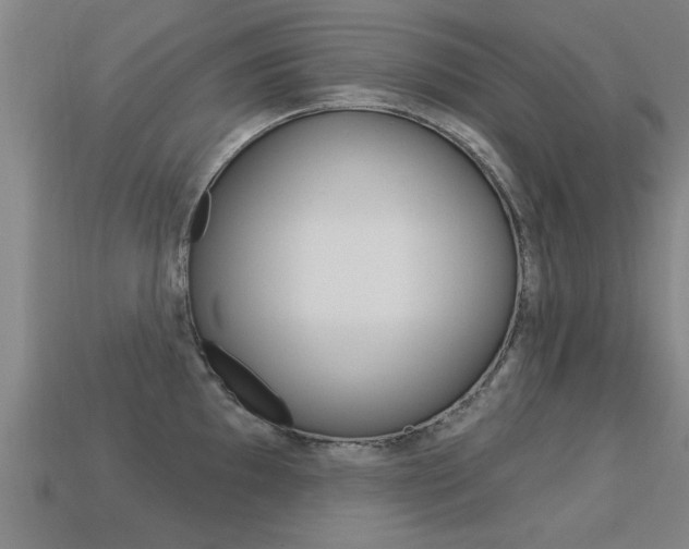 X0000113341097200909151000