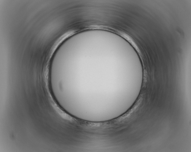 X0000113341098200909151000