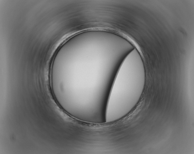 X0000113341099200909151000