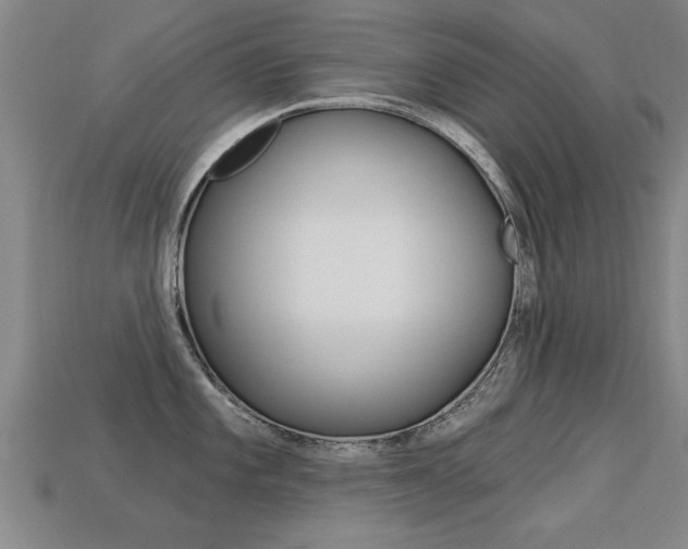 X0000113341101200909151000