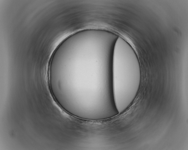 X0000113341103200909151000