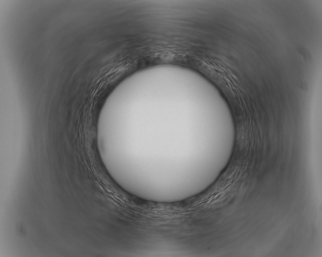 X0000113341105200909150959