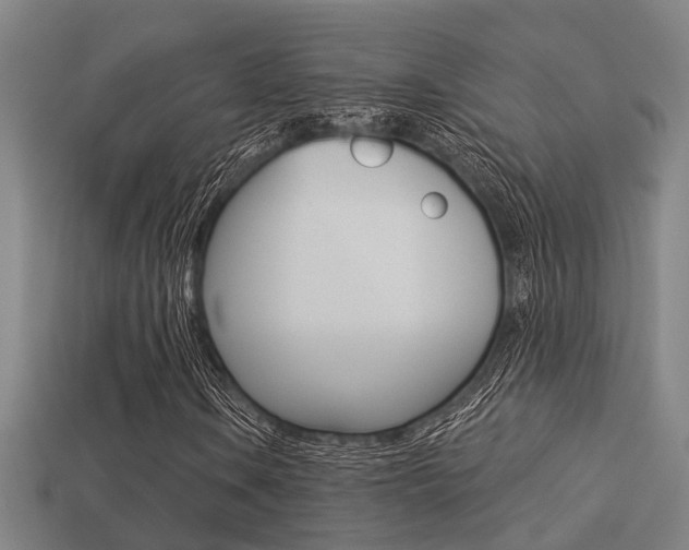 X0000113341106200909150959