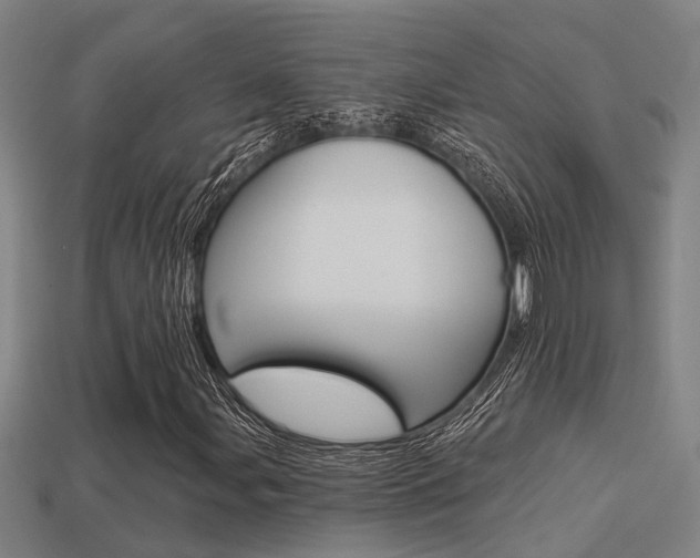 X0000113341107200909150959