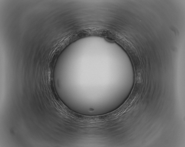 X0000113341108200909150959