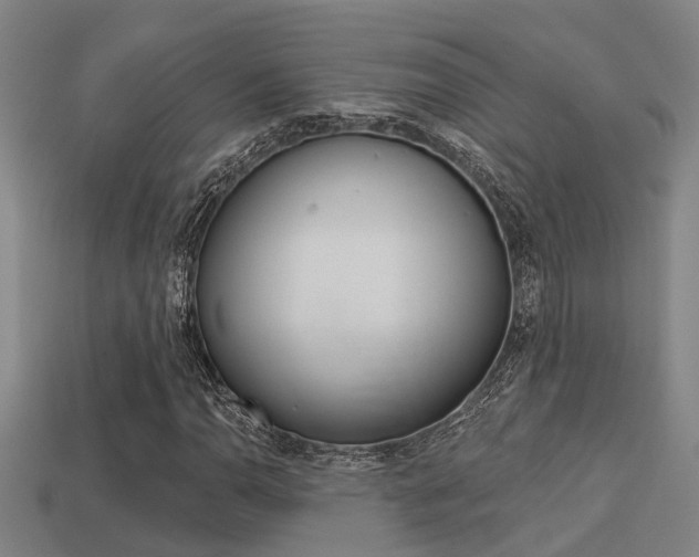 X0000113341110200909150959