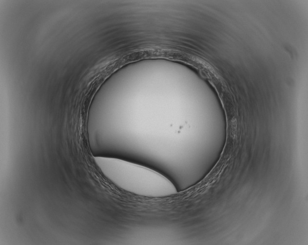 X0000113341111200909150959
