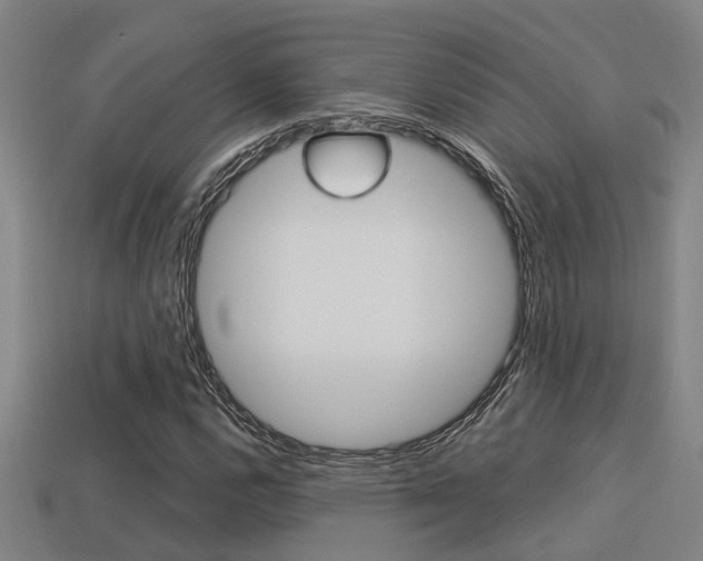 X0000113341112200909150959