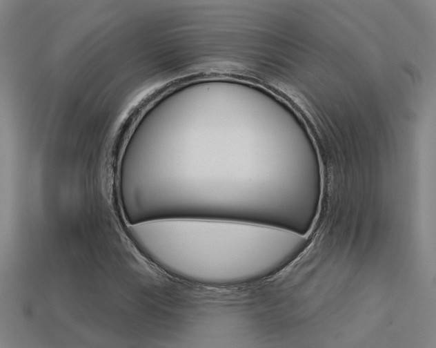 X0000113341115200909151000
