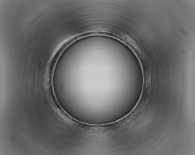 X0000113341116200909151000