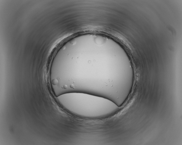 X0000113341117200909151000