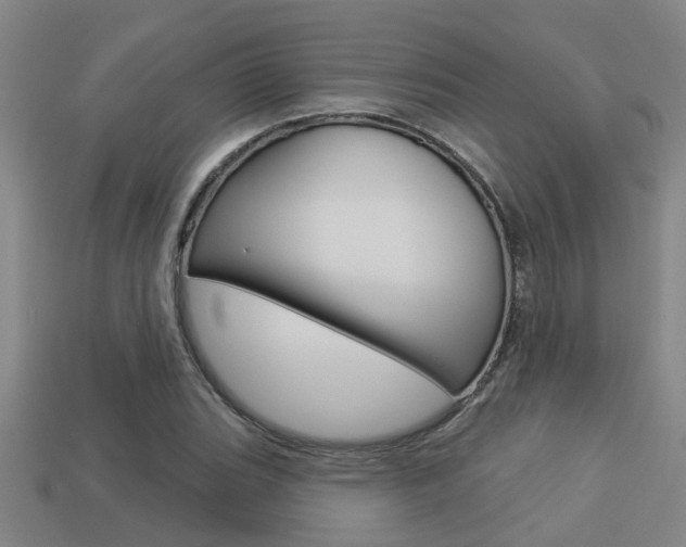 X0000113341119200909151000