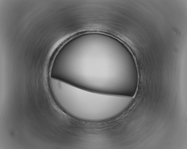 X0000113341120200909151000