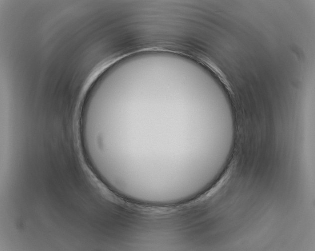 X0000113341122200909151000