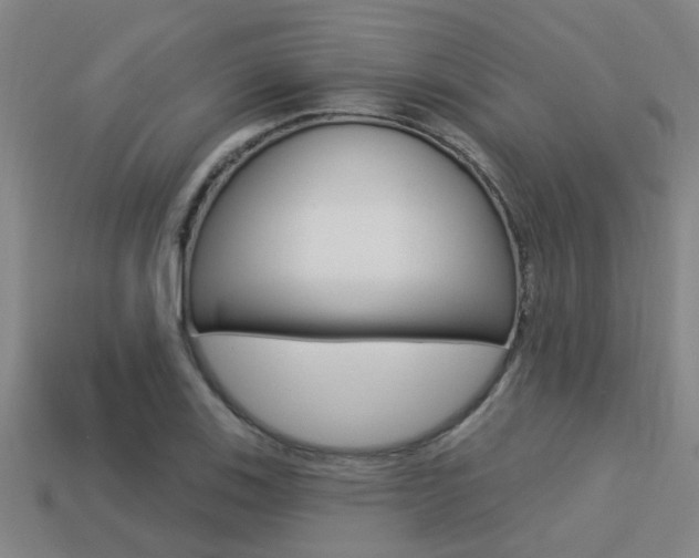 X0000113341123200909151000
