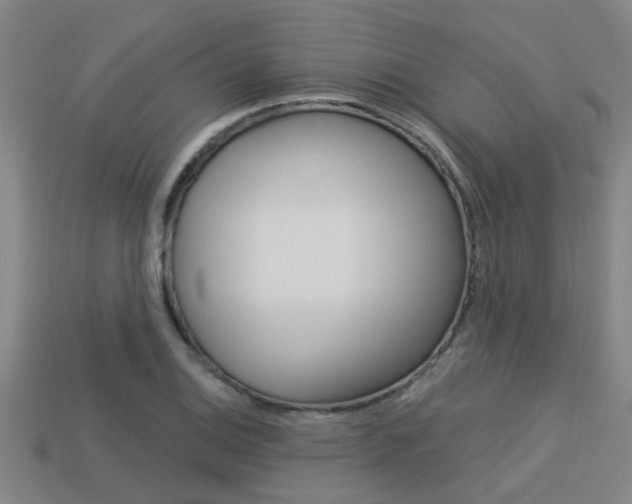 X0000113341124200909151000