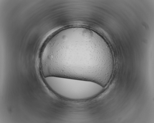 X0000113341125200909151000