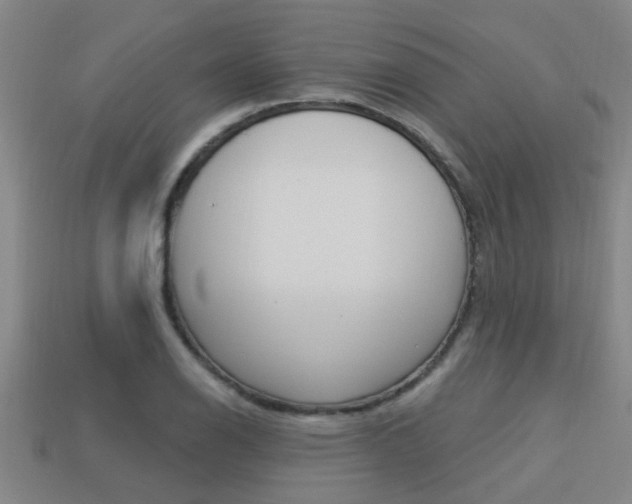 X0000113341126200909151000