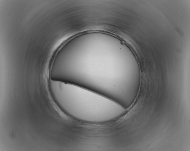 X0000113341127200909151000