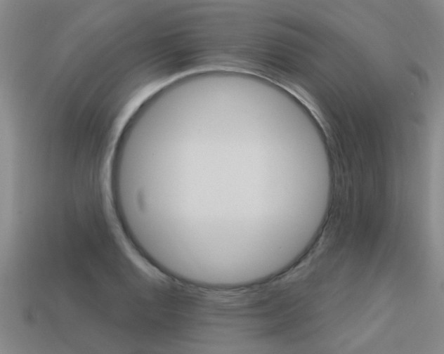 X0000113341128200909151000