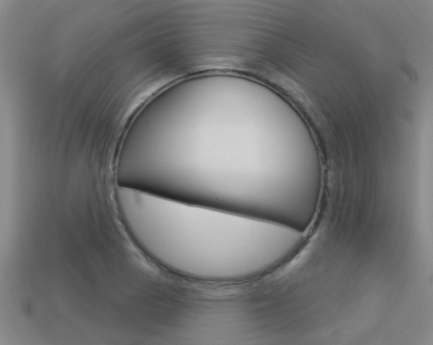 X0000113341129200909151000