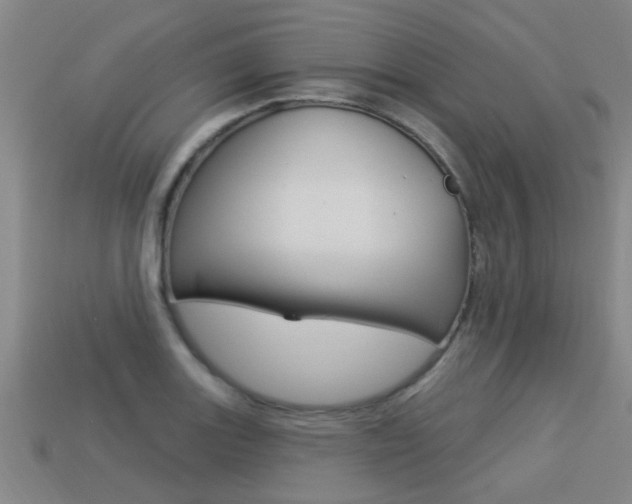 X0000113341131200909151000