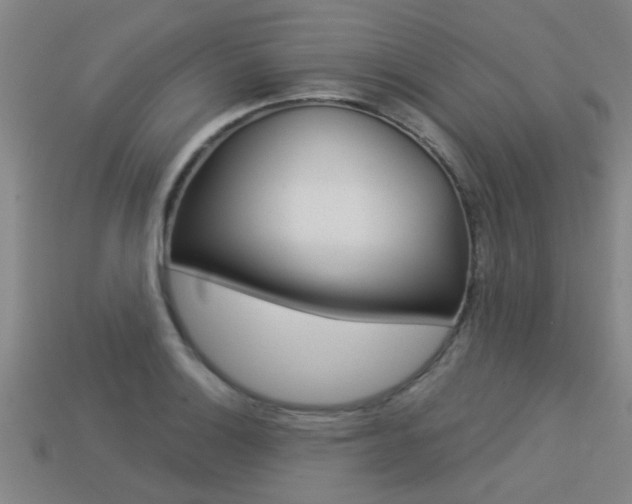 X0000113341132200909151000