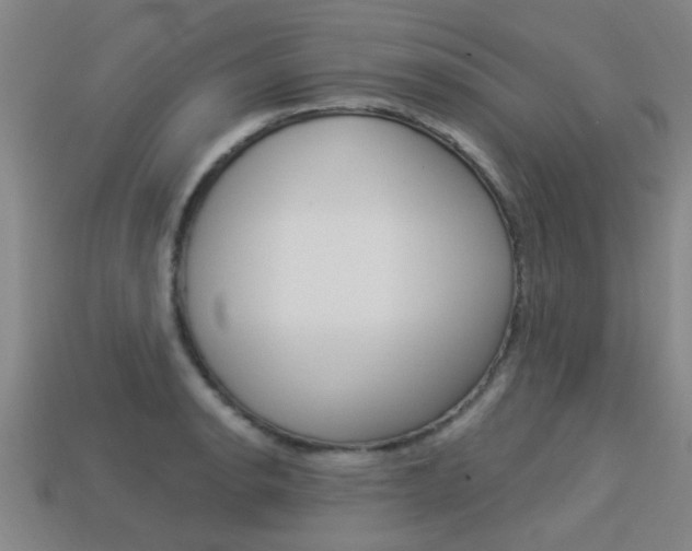 X0000113341134200909151000
