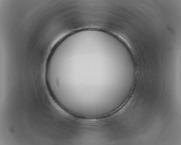 X0000113341135200909151000
