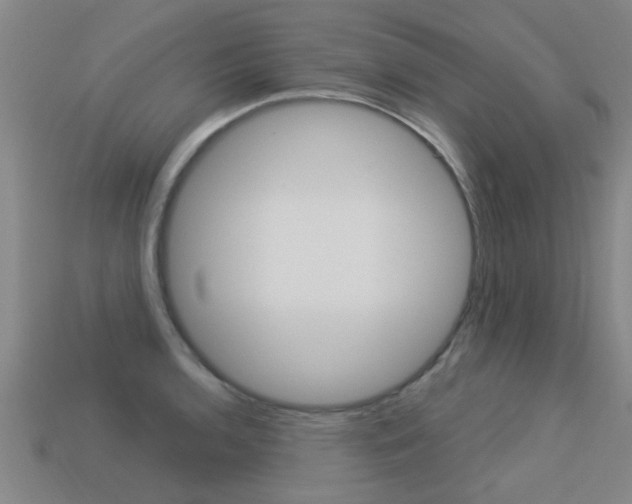 X0000113341136200909151000