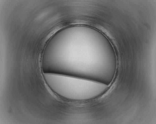 X0000113341137200909151000