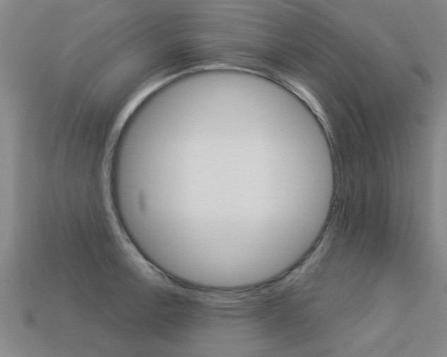 X0000113341138200909151000