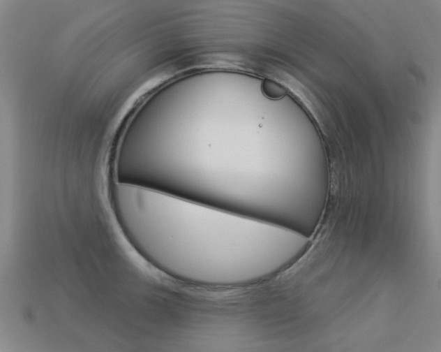 X0000113341139200909151000