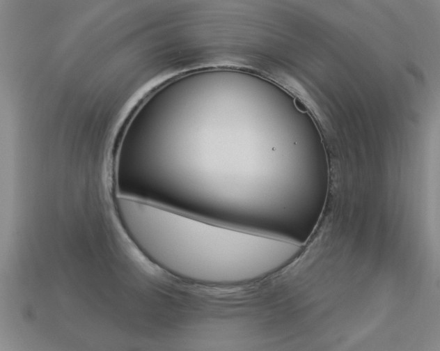 X0000113341140200909151000