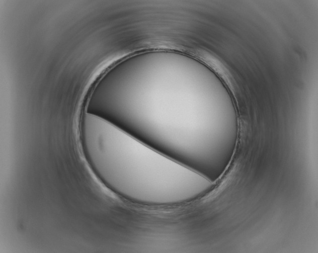 X0000113341141200909151000
