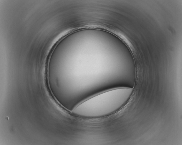 X0000113341142200909151000