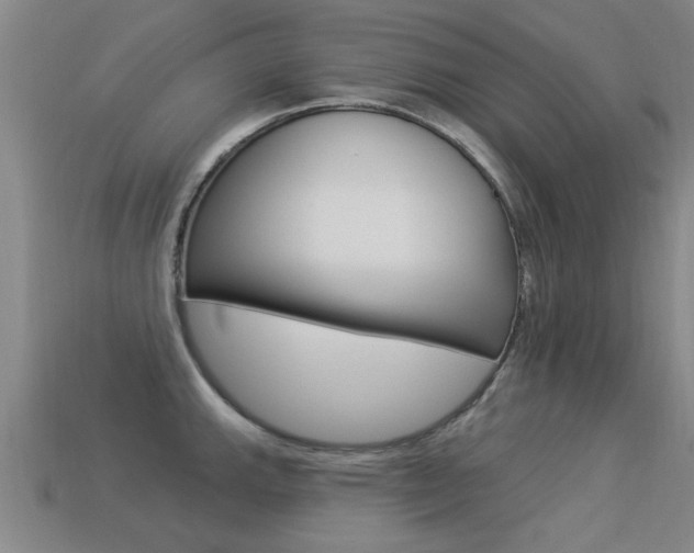 X0000113341143200909151000