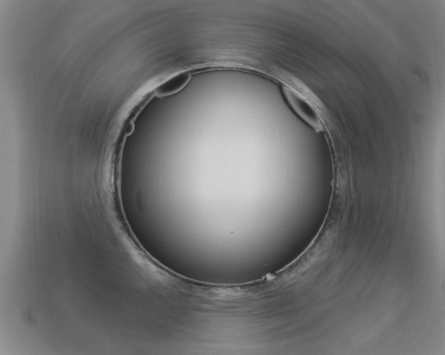 X0000113341144200909151000