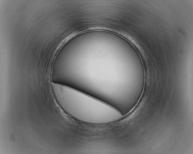X0000113341145200909151000